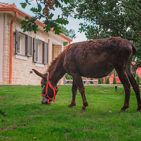Monte In Breg Вилла